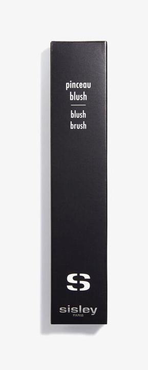 Actual product image Sisley Pinceau (Blusher)