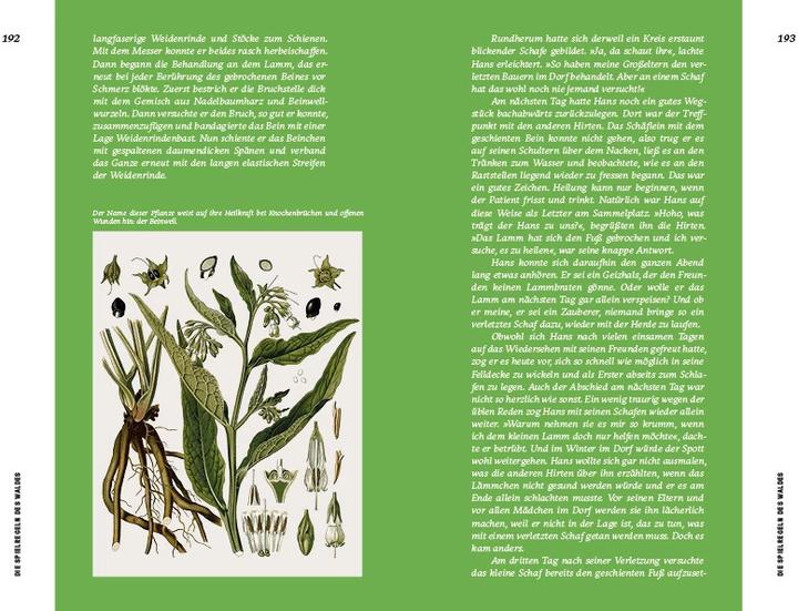 Produktbild Strategien der Natur (Deutsch, Erwin Thoma, 2019)