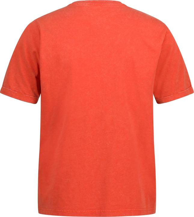 Image du produit JP1880 T-shirt à col rond et manches courtes, look vintage et flocage - jusqu'au 8 XL. (4XL)