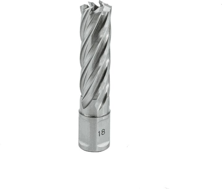Actual product image Euroboor 21005501601004 HCL.160 Kernbohrer, HSS, D 16 mm, DoC 55 mm, Weldon (16 millimetres)