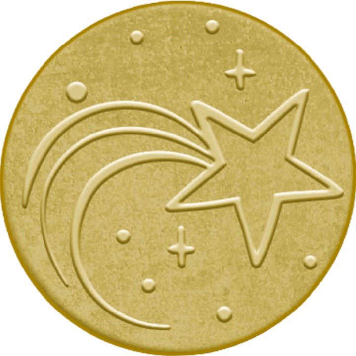 Actual product image Shooting star coin - Good wishes for (2024)