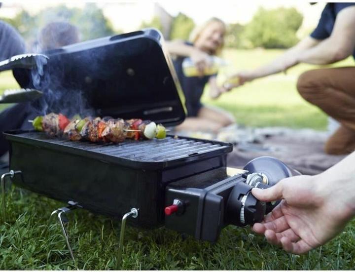Actual product image Weber Go-Anywhere Gas Barbecue - 41x26 cm - Roestvrijstalen branders - Gasregelkop - Incl. deksel (2.10 kW)