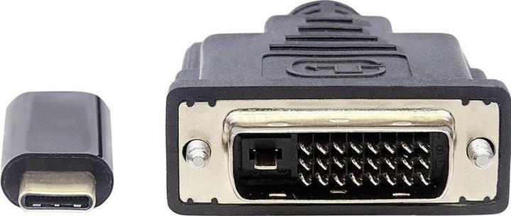 Actual product image Manhattan C – DisplayPort (USB-C)