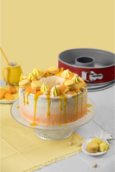 Produktbild Kaiser Springform Classic Plus mit Rohrboden Ø 26 cm (26 cm)