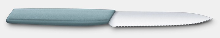Immagine prodotto Victorinox Spelucchino (10 cm)
