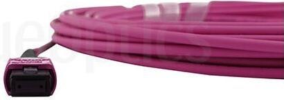 Actual product image BlueOptics Cisco CB-M12-M12-MMF30M kompatibles MPO-MPO Multimode OM4 Patchkabel 30 Meter (30 m)