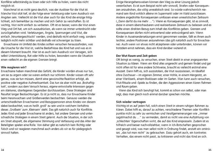 Produktbild Pau und die Wut (Deutsch, Olliver Merbeth-Brandtner, 2017)