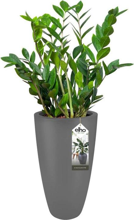 Produktbild Elho Pure Soft (29.50 cm)