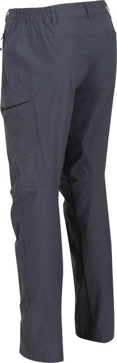 Image du produit Regatta M's Highton Trousers (46)