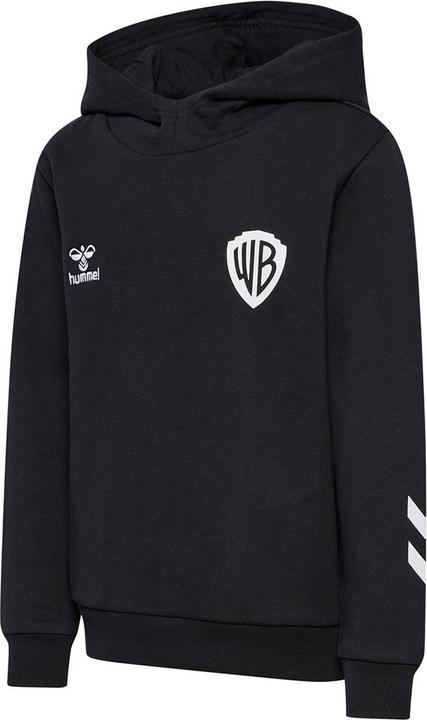 Produktbild hummel Hmlcelebrating Story Hoodie (146)