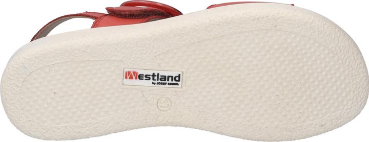 Actual product image Westland 25408-409 (42)