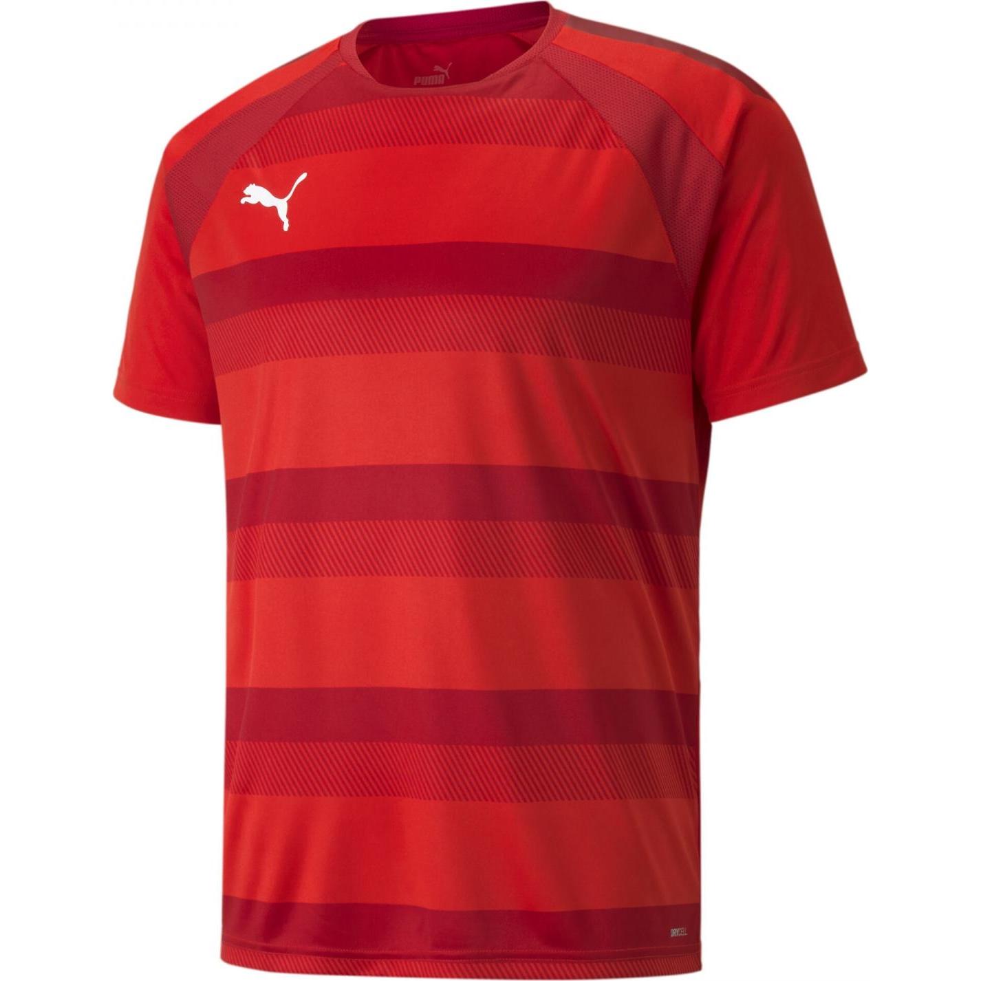Puma, Herren, Sportshirt, teamVISION Jersey-704921 (M), Blau, M