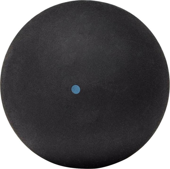 Actual product image Dunlop Intro SquashBalls 12-pack