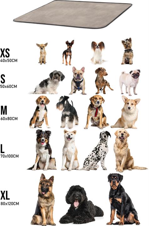 Actual product image Aspero Dog blanket Lund (Dog)