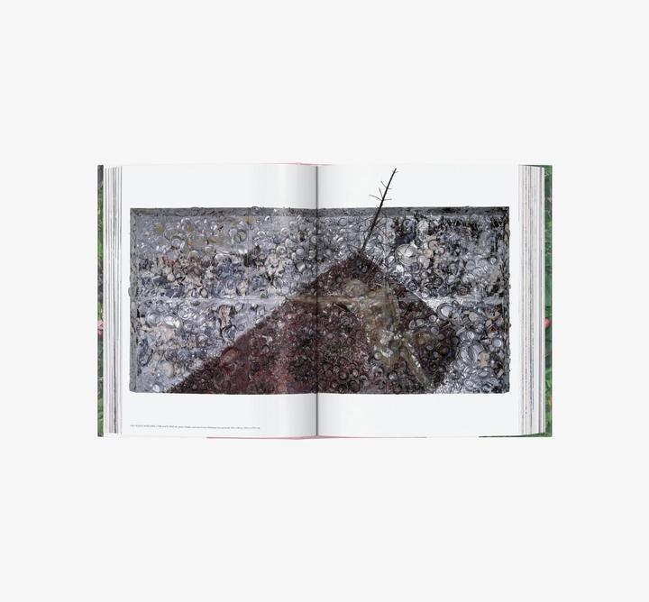 Produktbild fp-Julian Schnabel (Deutsch, Französisch, Englisch, Julian Schnabel, Louise Kugelberg, Hans Werner Holzwarth, 2024)