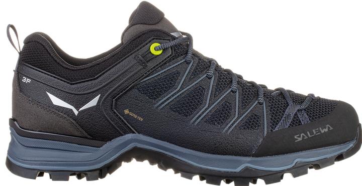 Produktbild Salewa MTN Trainer Lite GTX Schuhe (46)