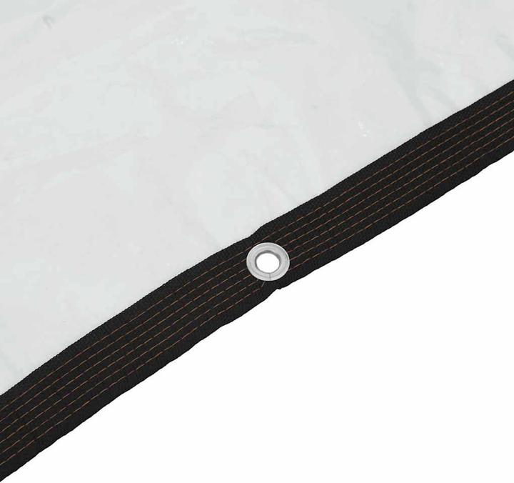 Actual product image vidaXL Transparente Plane mit Ösen 4x12 m Polyethylen durchsichtige Plane (12 x 4 m)