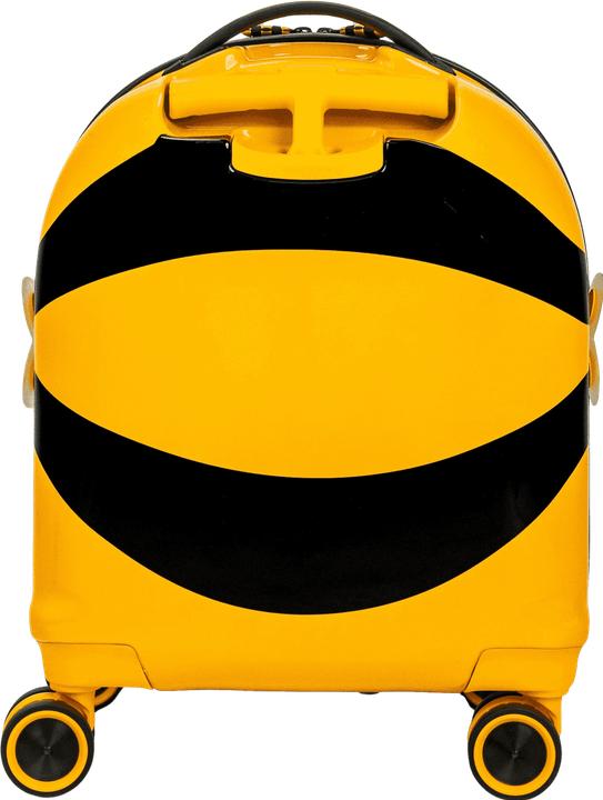 Actual product image Swissbags S (36 l)