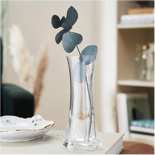 Actual product image Bormioli Rocco Capitol (1x)