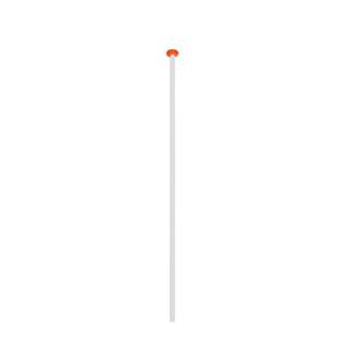 Actual product image White flagpole with orange button
