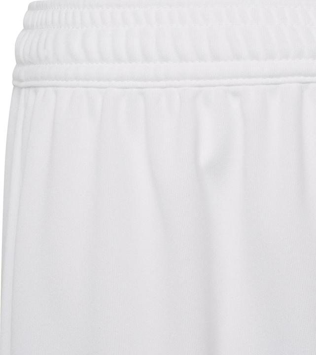 Actual product image adidas Entrada 22 Shorts (116)