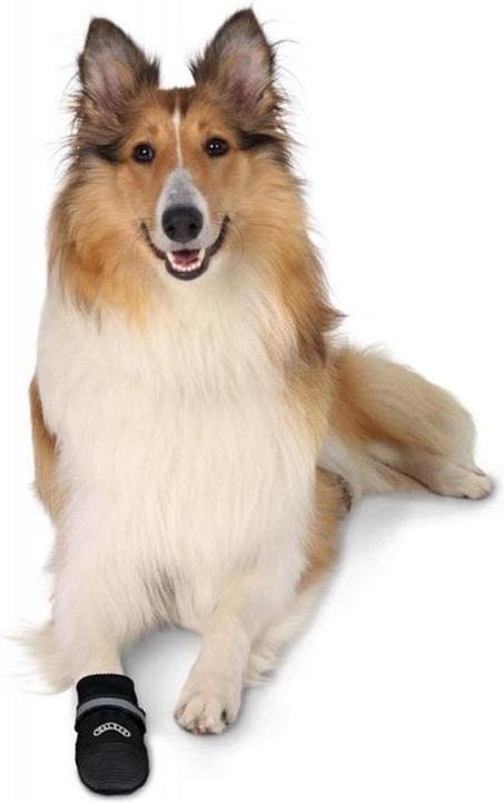 Image du produit Trixie Protection de la patte - Soins aux marcheurs (M, Chaussures pour chien)