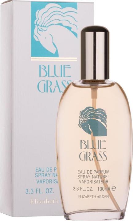 Immagine prodotto Elizabeth Arden Erba blu (Eau de parfum, 100 ml)