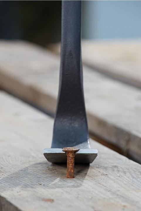 Actual product image Fortis Pied-de-biche 320 mm