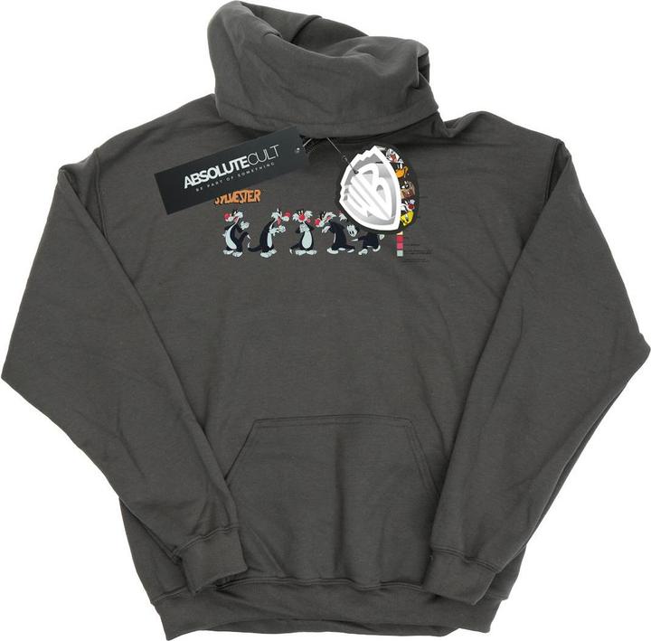 Produktbild Looney Tunes Sylvester Colour Code Kapuzenpullover (S)