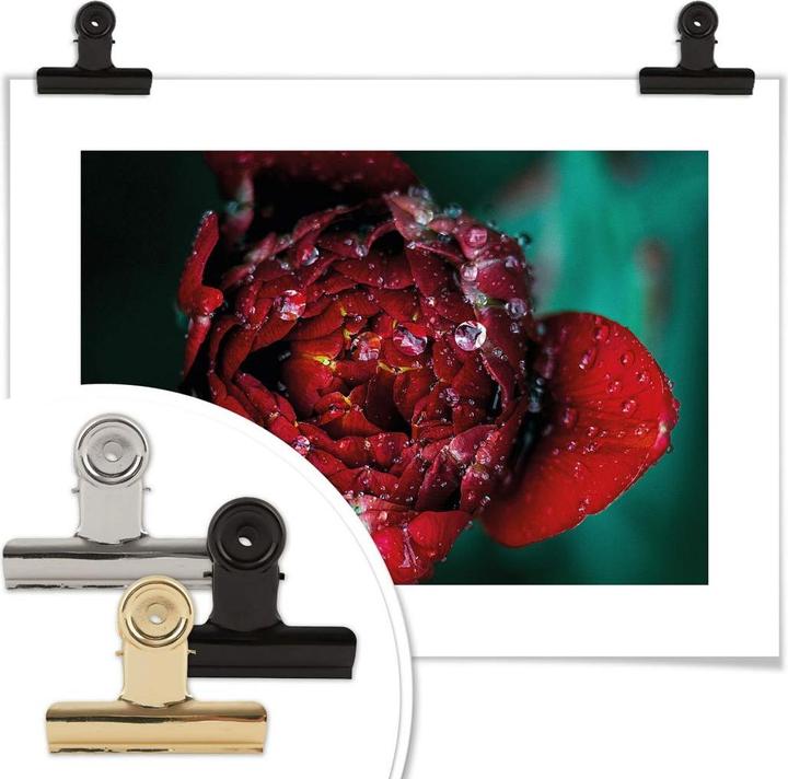 Actual product image Trenddeko Peony after the rain (40 x 30 cm)