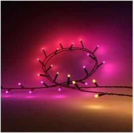 Produktbild Philips Hue Festavia (EU Stecker) (20 m)