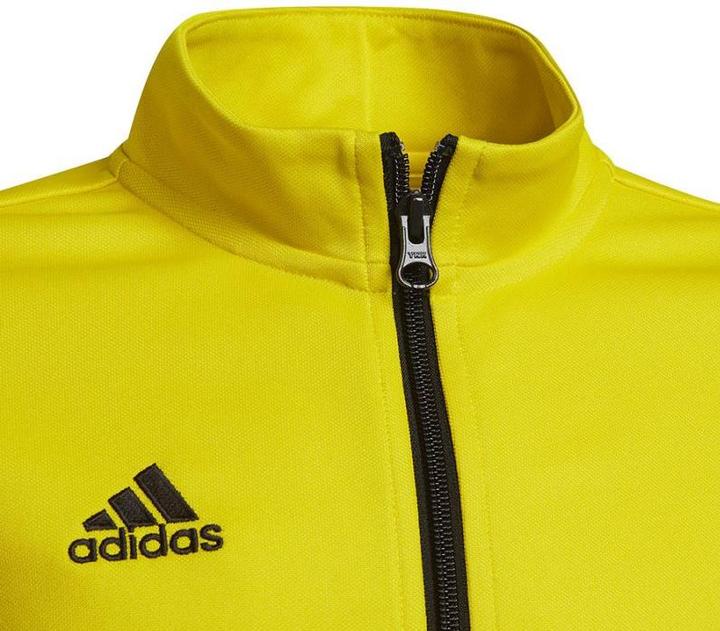 Actual product image Adidas Entrada 22 training jacket kids (176)