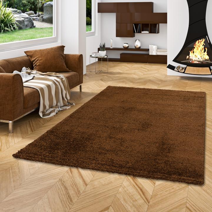 Produktbild Pergamon Hochflor Langflor Teppich Aloha (120 x 170 cm)