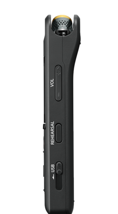 Actual product image Sony PCM-A10 (Handheld)