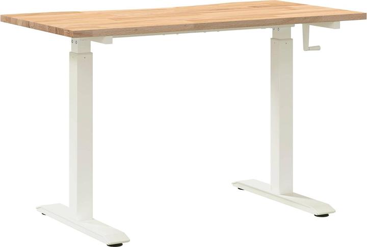 Image du produit vidaXL Verstellbarer Schreibtisch (60 x 120 x 115.50 cm)