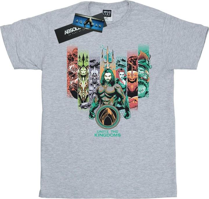 Produktbild Aquaman vereinigen die Königreiche BaumwollBoyfriend TShirt (L)