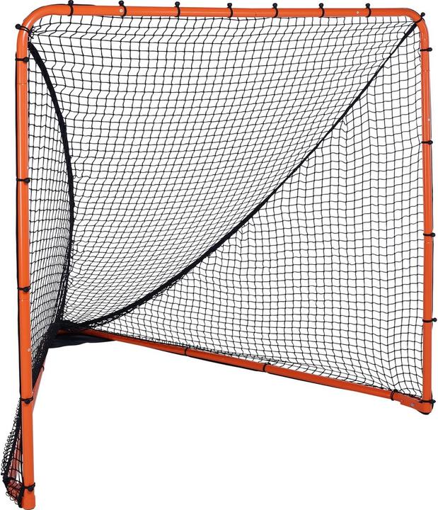 Actual product image Vevor Lacrosse Goal