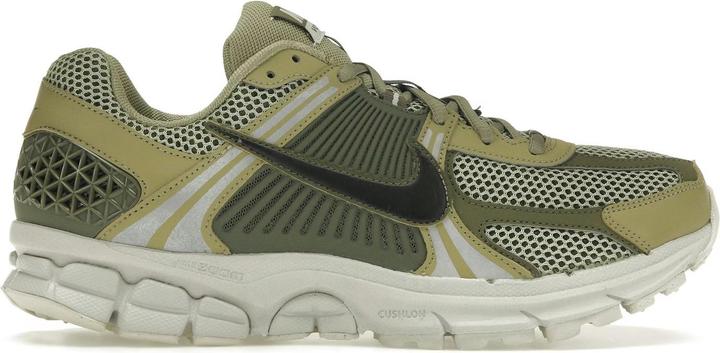 Oliva media, Olivo Neutro, Verde Oliva