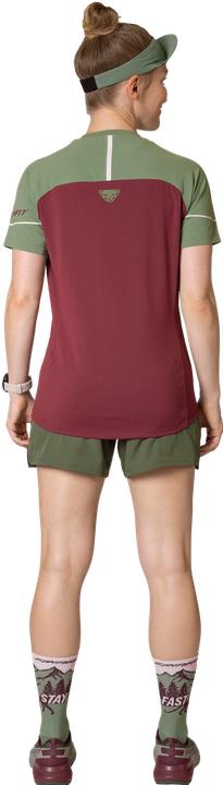 Produktbild Dynafit Alpine Pro SS Tee Women (42)