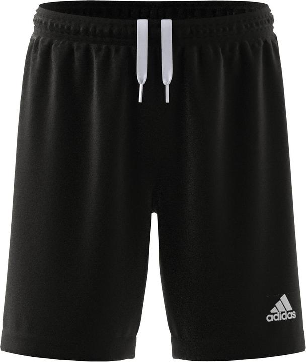 Actual product image adidas Entrada 22 Shorts (164)