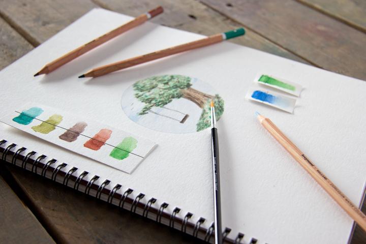 Image du produit Bruynzeel Crayons aquarelle Expression (Multicolore, 12 x)
