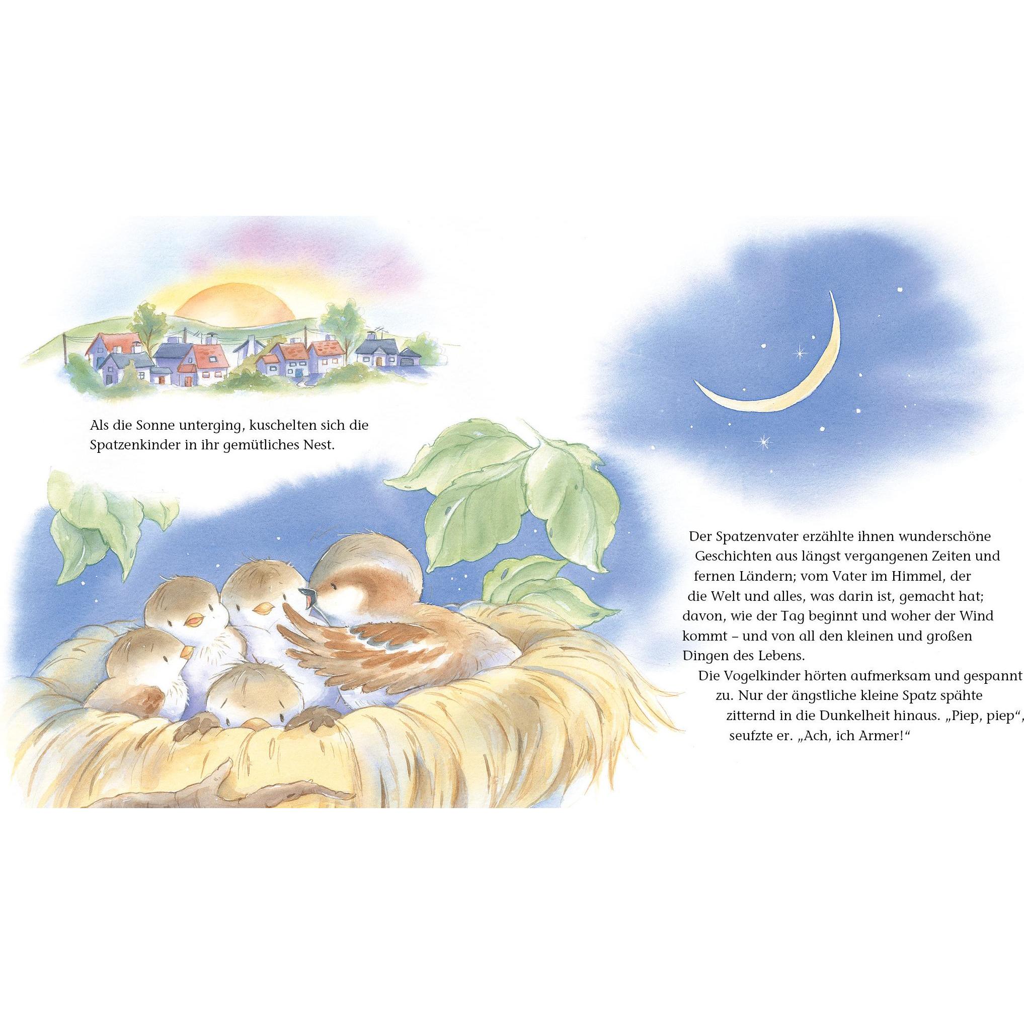 Thumbnail - Der ängstliche kleine Spatz, Kinderbücher von Meryl Doney