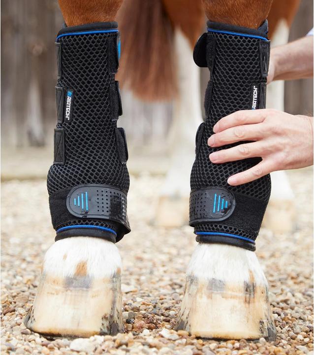 Actual product image Premier Equine cold water compression horse gaiters