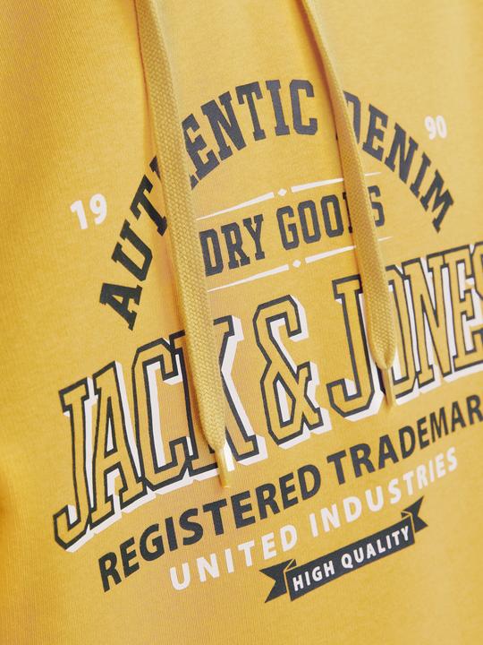 Produktbild Jack & Jones JJELOGO SWEAT HOOD 2 COL 24/25 NOOS (S)