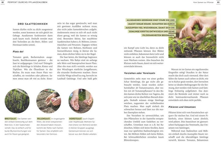 Image du produit Pflanzen endlich verstehen (Allemand, Karin Greiner, 2022)