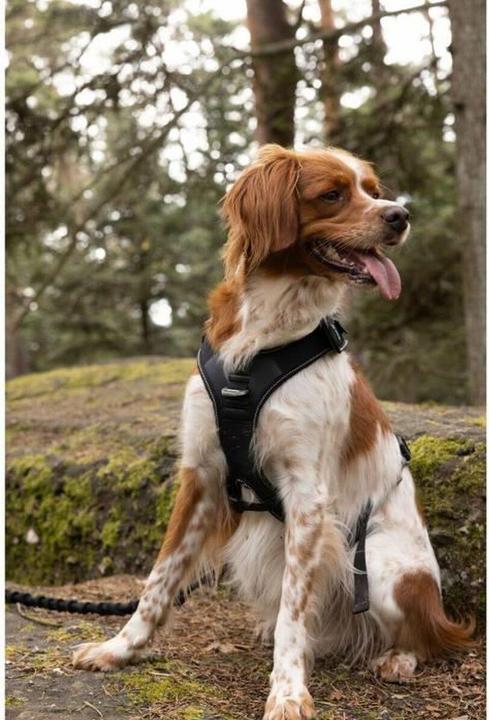 Produktbild Symbioz Hundegeschirr XXS (XXS, Hund, Spazieren)