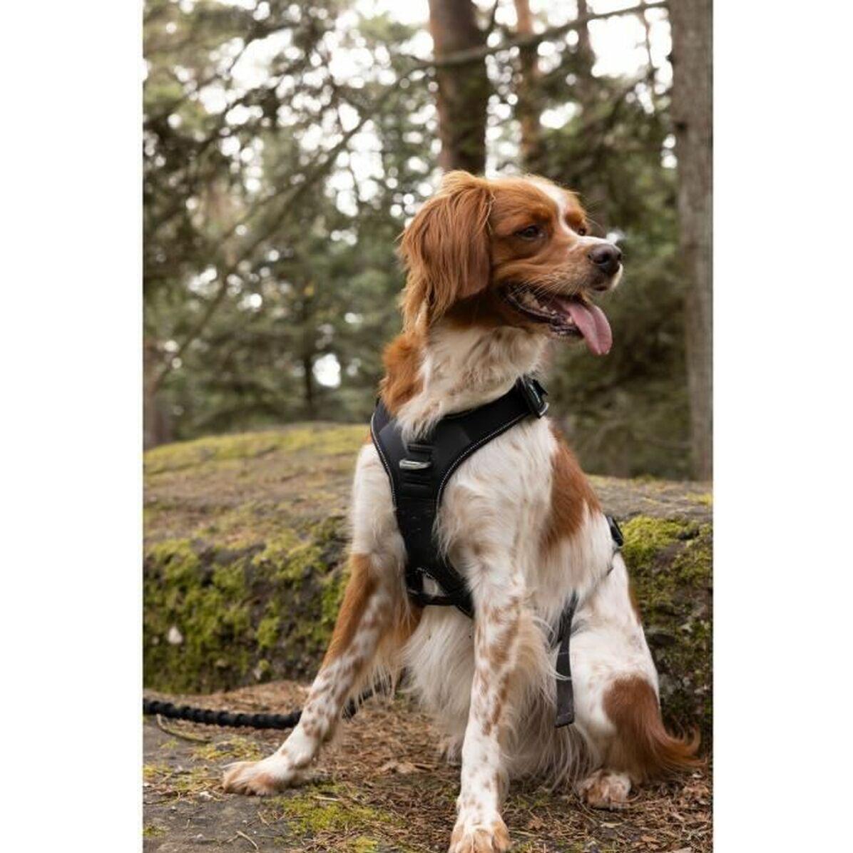 CANI GEAR Harnais Symbioz