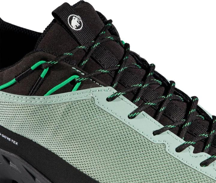 Produktbild Mammut Alnasca IV Low GTX Men (41 1/3)