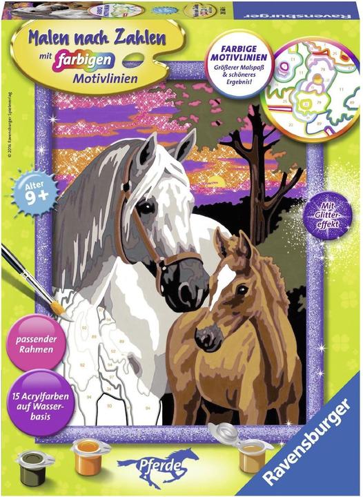 Ravensburger Pferde im Sonnenuntergang