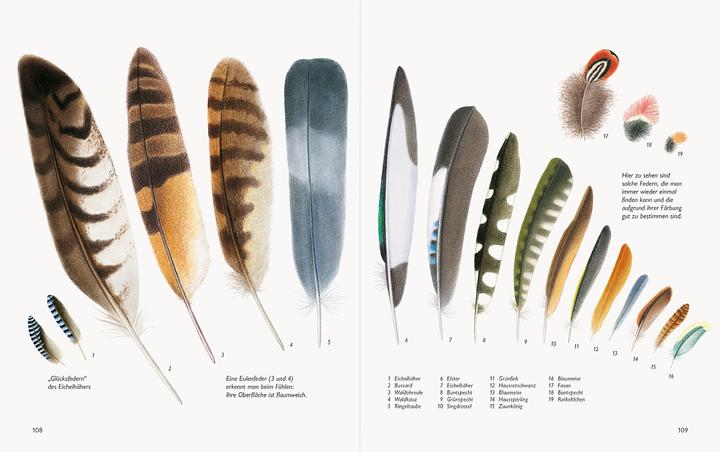 Produktbild Wawra's Naturbuch, Band 1: Säugetiere, Vögel, Reptilien, Amphibien (Deutsch, Johannes Wawra, Ursula Wawra, 2020)